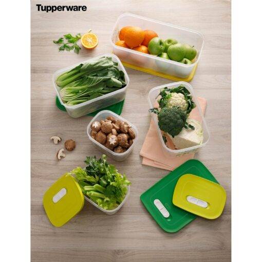 Bộ hộp trữ mát Vensmart 7 hộp - Tupperware