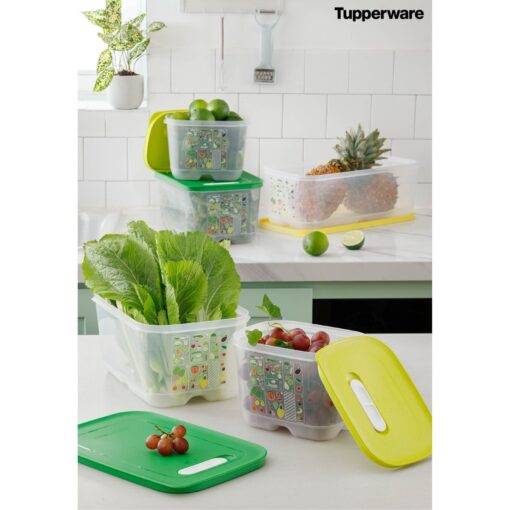 Bộ hộp trữ mát Vensmart 7 hộp - Tupperware