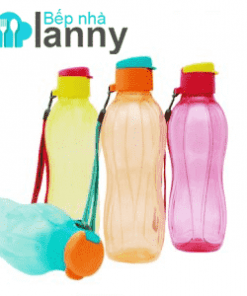 Bộ bình nước EcoBottle 500ml (có dây)